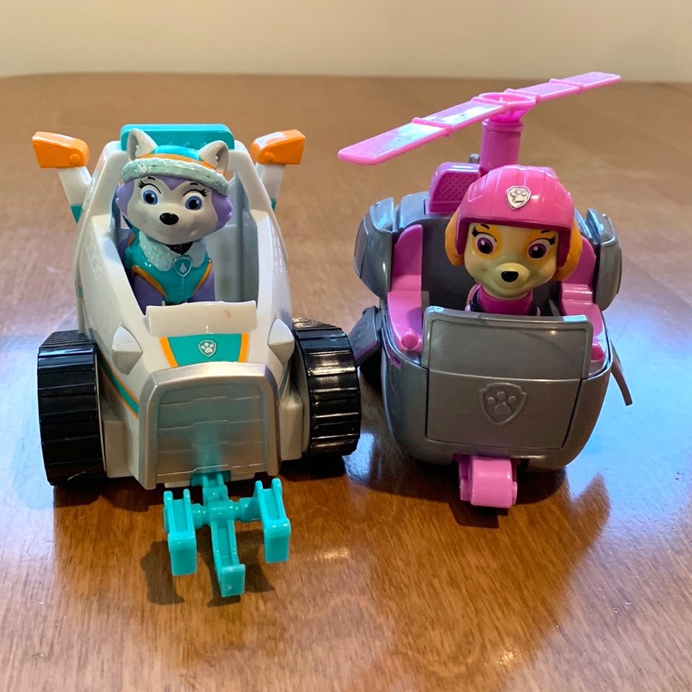 Sky & Everest Paw Patrol Set